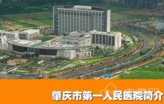 广东肇庆市人民医院整形科一览表|医生推荐|可预约