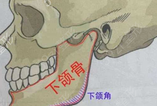 第四军医大学西京医院整形外科下颌角整形案例：