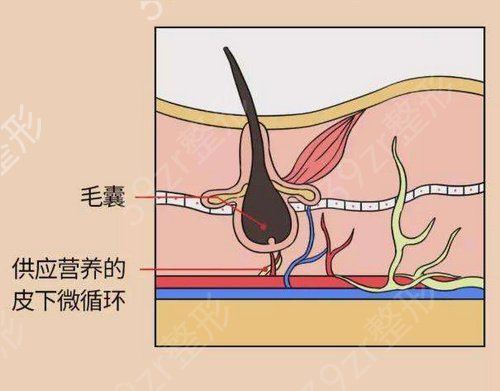 上海科发源价格表2019出炉一览，内含植发日记